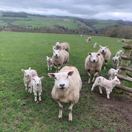 Counting Sheep Apartment Great Longstone Екстериор снимка